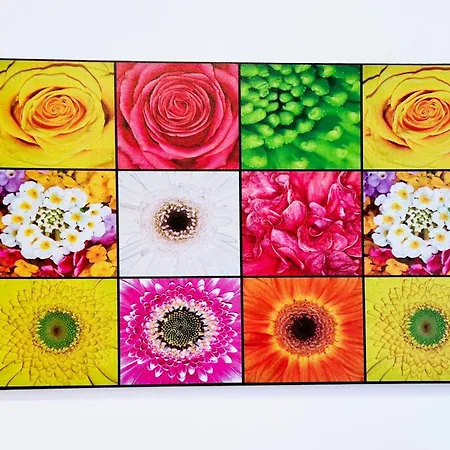 Comfortable - Place Apartamento